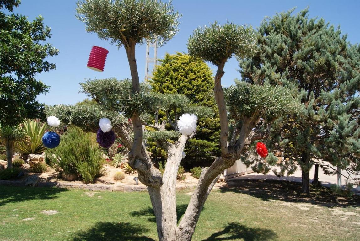 Los Jardines De Lola Daimes Экстерьер фото