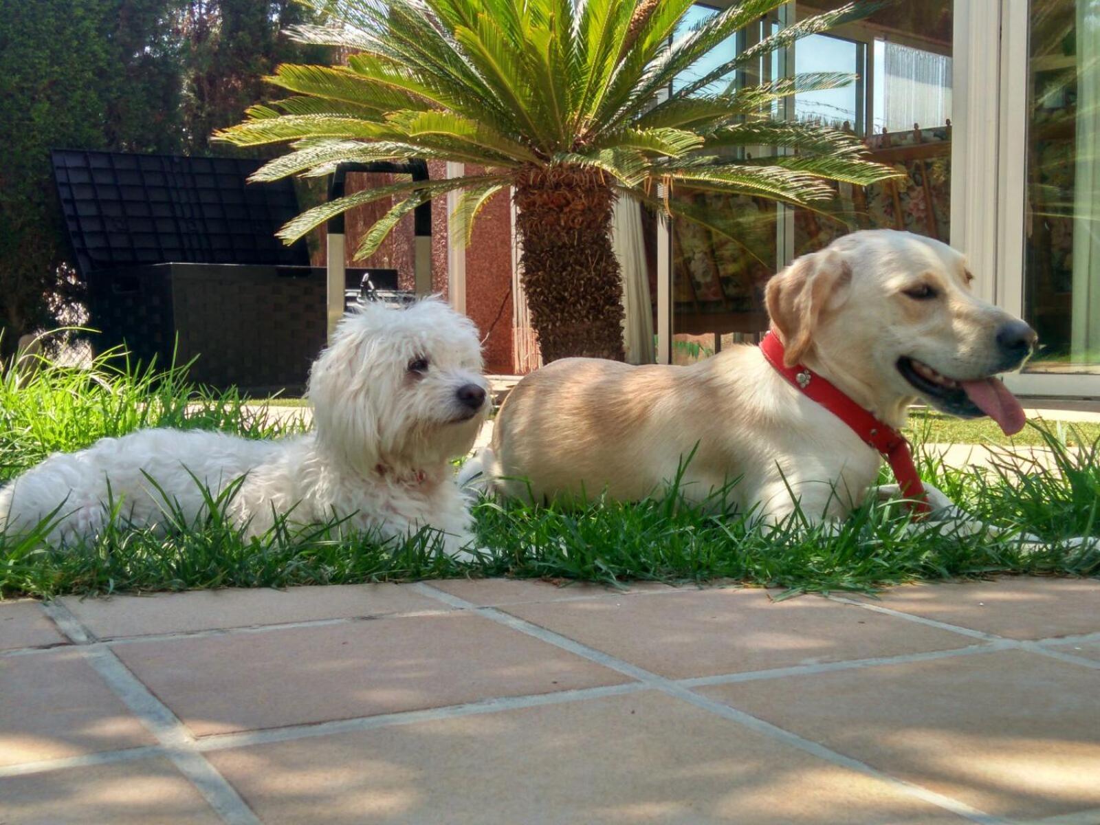 Los Jardines De Lola Daimes Экстерьер фото