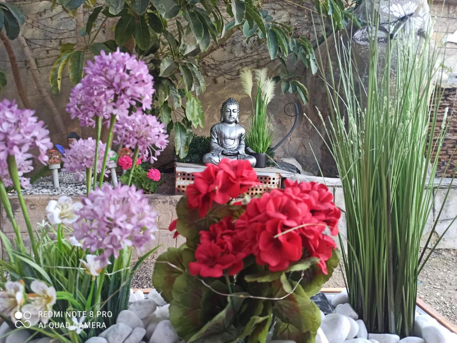 Los Jardines De Lola Daimes Экстерьер фото